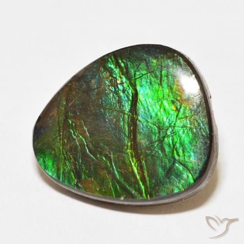 amolita Multicolorido Natural 12.67ct, Chique, Opaco