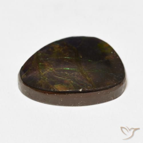 amolita Multicolorido Natural 12.67ct, Chique, Opaco