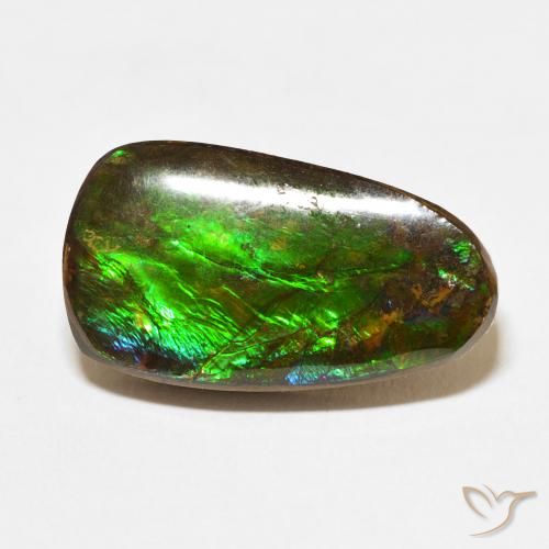 12.15ct Natural Multicolorido amolita, Chique, Opaco