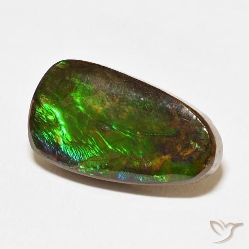 amolita Multicolorido Natural 12.15ct, Chique, Opaco