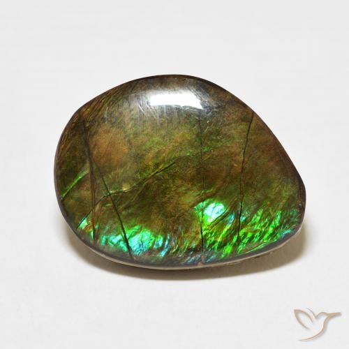 11.66ct Natural Multicolorido amolita, Chique, Opaco