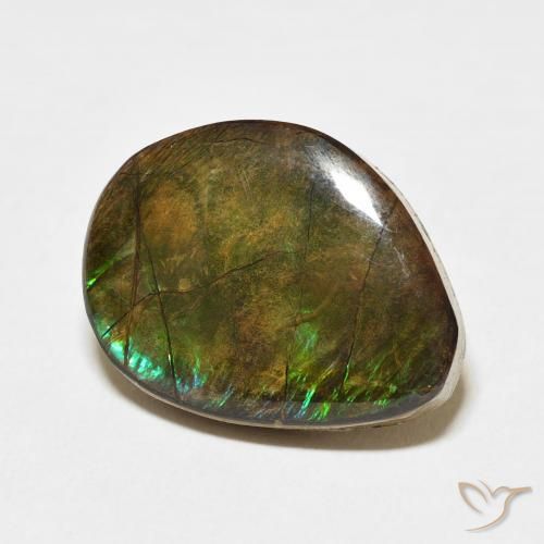 amolita Multicolorido Natural 11.66ct, Chique, Opaco