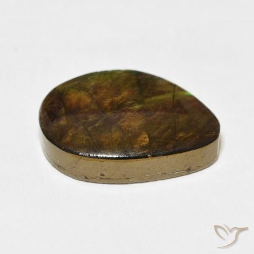 amolita Multicolorido Natural 11.66ct, Chique, Opaco