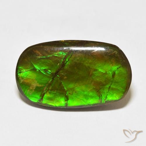 18.47ct Natural Multicolorido amolita, Chique, Opaco
