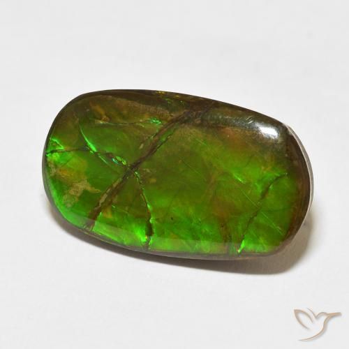 amolita Multicolorido Natural 18.47ct, Chique, Opaco