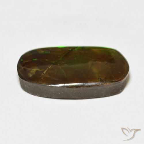 amolita Multicolorido Natural 18.47ct, Chique, Opaco
