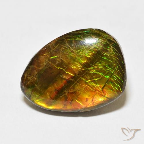 12.20ct Natural Multicolorido amolita, Chique, Opaco