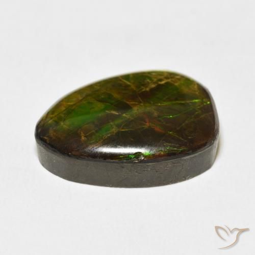 amolita Multicolorido Natural 12.20ct, Chique, Opaco