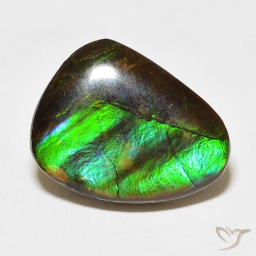 11.84ct Natural Multicolorido amolita, Chique, Opaco