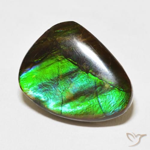 amolita Multicolorido Natural 11.84ct, Chique, Opaco