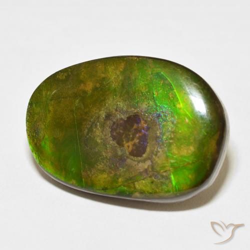 amolita Multicolorido Natural 21.49ct, Chique, Opaco