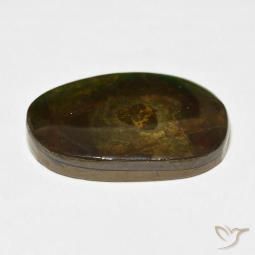 amolita Multicolorido Natural 21.49ct, Chique, Opaco