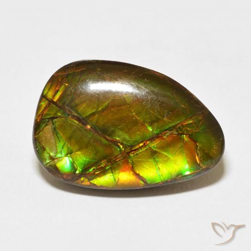 11.07ct Natural Multicolorido amolita, Chique, Opaco