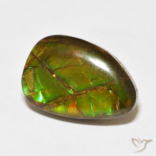 amolita Multicolorido Natural 11.07ct, Chique, Opaco