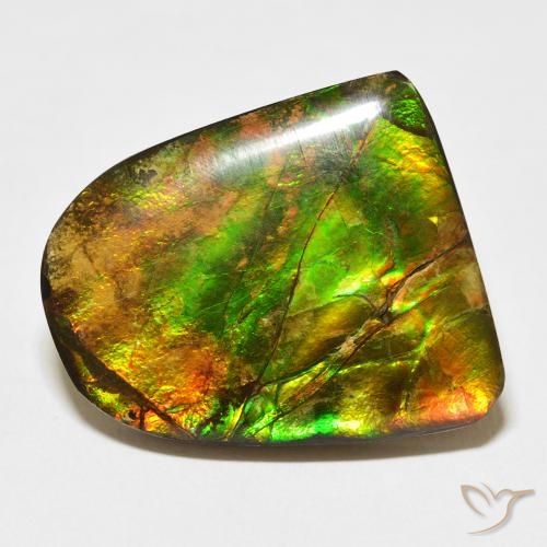 20.38ct Natural Multicolorido amolita, Chique, Opaco