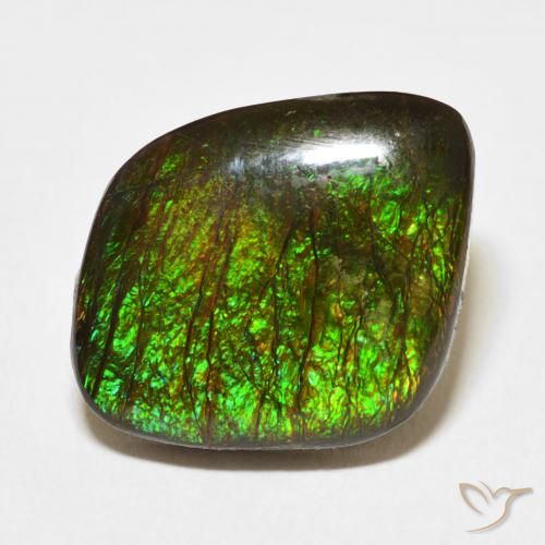 10.62ct Natural Multicolorido amolita, Chique, Opaco
