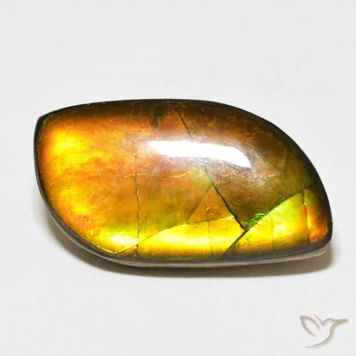 14.45ct Natural Multicolorido amolita, Chique, Opaco