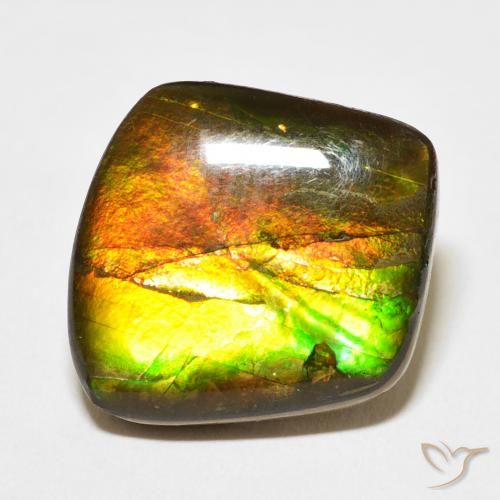 13.63ct Natural Multicolorido amolita, Chique, Opaco