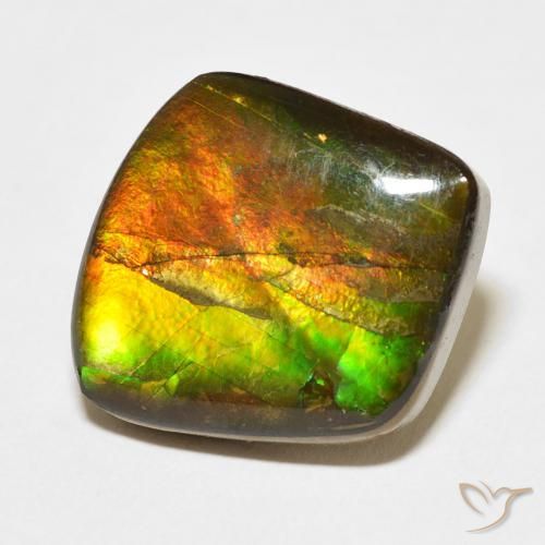 amolita Multicolorido Natural 13.63ct, Chique, Opaco