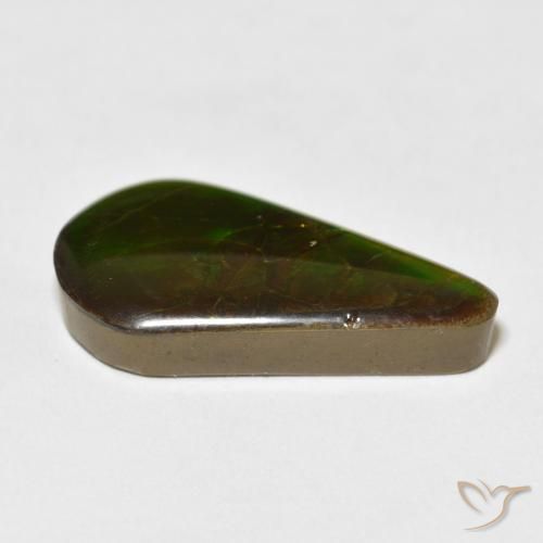 amolita Multicolorido Natural 16.88ct, Formato de pêra, Opaco