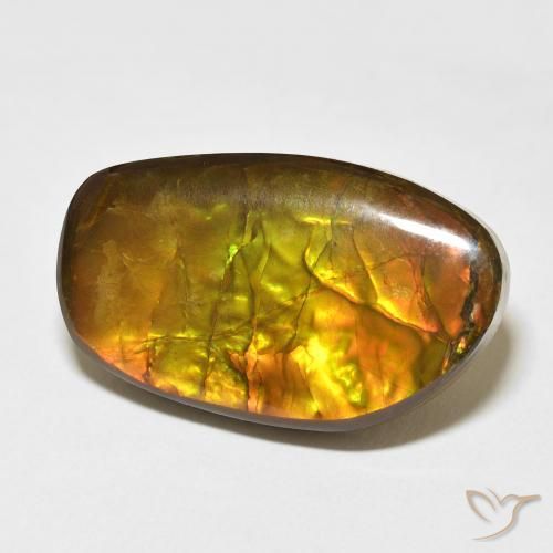 amolita Multicolorido Natural 17.48ct, Chique, Opaco