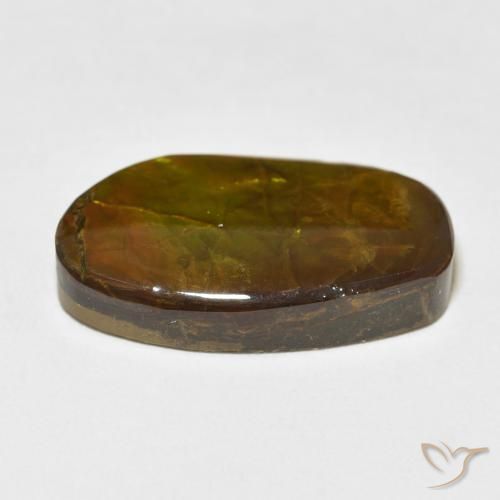 amolita Multicolorido Natural 17.48ct, Chique, Opaco