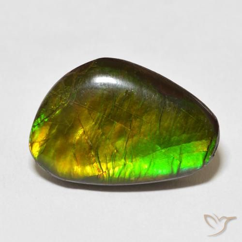 13.79ct Natural Multicolorido amolita, Chique, Opaco