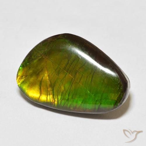 amolita Multicolorido Natural 13.79ct, Chique, Opaco