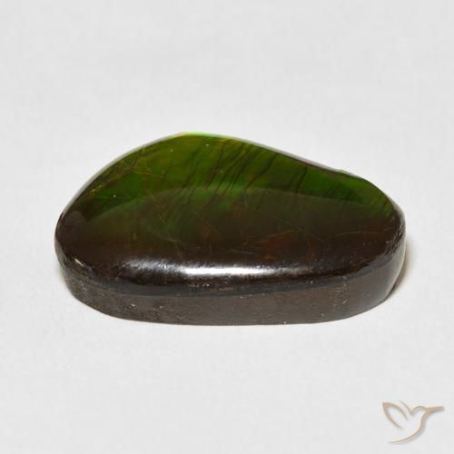 amolita Multicolorido Natural 13.79ct, Chique, Opaco