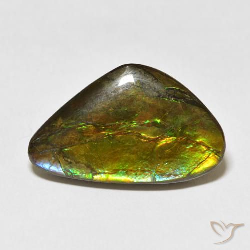 13.60ct Natural Multicolorido amolita, Chique, Opaco