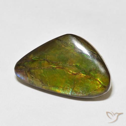 amolita Multicolorido Natural 13.60ct, Chique, Opaco