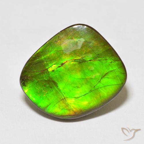 10.95ct Natural Multicolorido amolita, Chique, Opaco