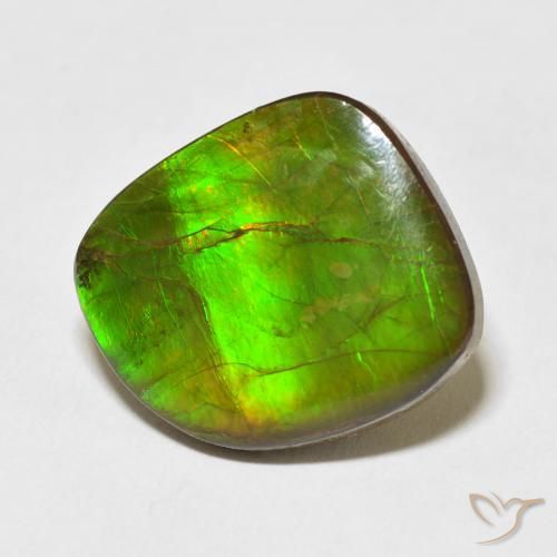 amolita Multicolorido Natural 10.95ct, Chique, Opaco