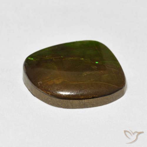 amolita Multicolorido Natural 10.95ct, Chique, Opaco
