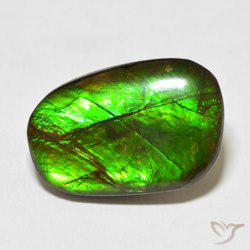 13.96ct Natural Multicolorido amolita, Chique, Opaco