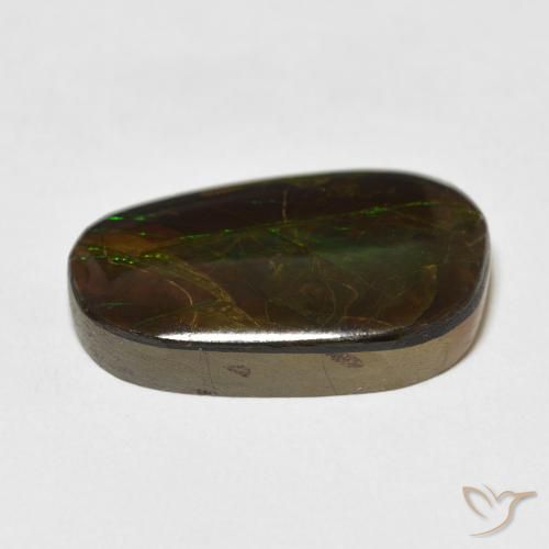 amolita Multicolorido Natural 13.96ct, Chique, Opaco
