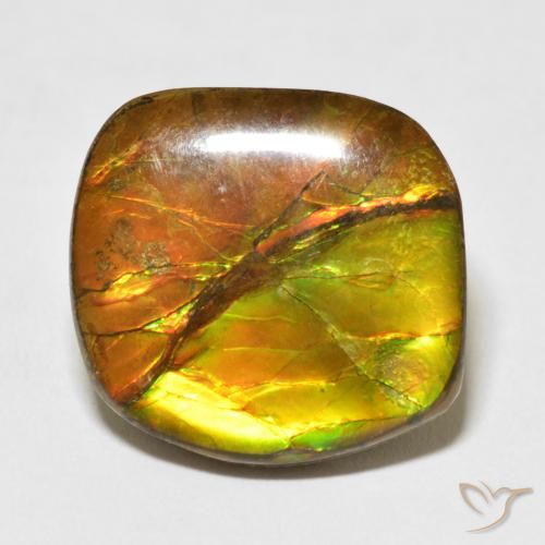 15.37ct Natural Multicolorido amolita, Chique, Opaco