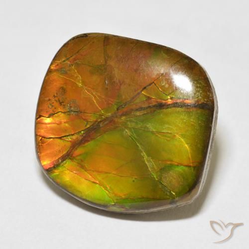 amolita Multicolorido Natural 15.37ct, Chique, Opaco