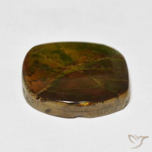 amolita Multicolorido Natural 15.37ct, Chique, Opaco