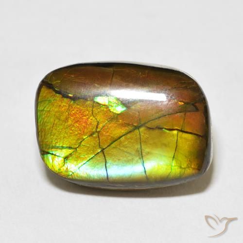 13.68ct Natural Multicolorido amolita, Chique, Opaco