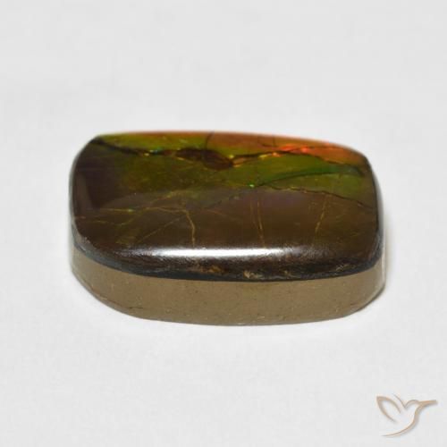 amolita Multicolorido Natural 13.68ct, Chique, Opaco
