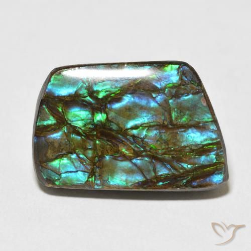 13.92ct Natural Multicolorido amolita, Chique, Opaco