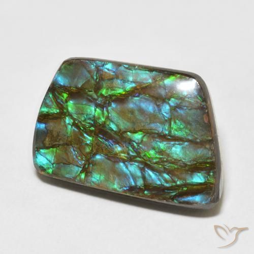 amolita Multicolorido Natural 13.92ct, Chique, Opaco