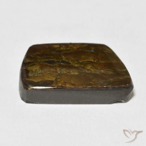 amolita Multicolorido Natural 13.92ct, Chique, Opaco