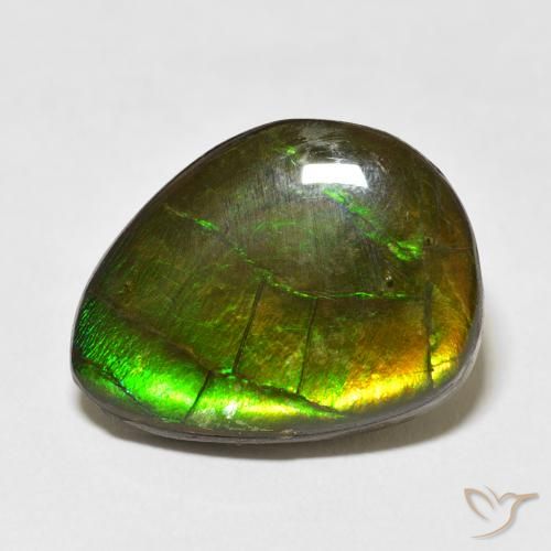 13.55ct Natural Multicolorido amolita, Chique, Opaco
