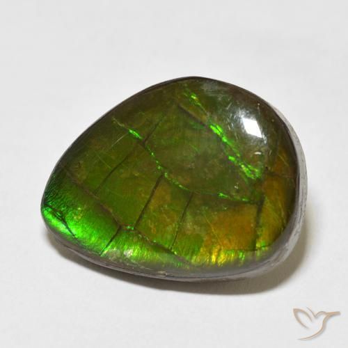 amolita Multicolorido Natural 13.55ct, Chique, Opaco