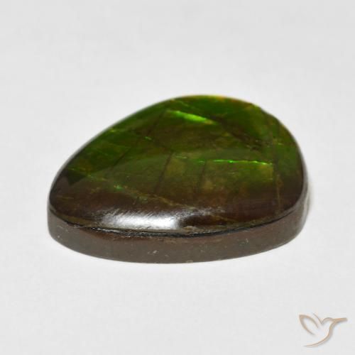 amolita Multicolorido Natural 13.55ct, Chique, Opaco
