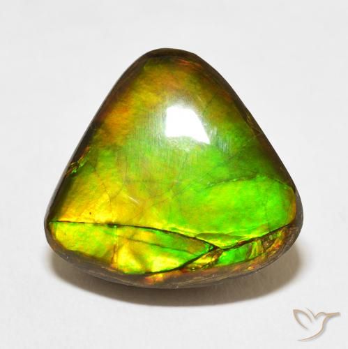 10.86ct Natural Multicolorido amolita, Trilhão, Opaco