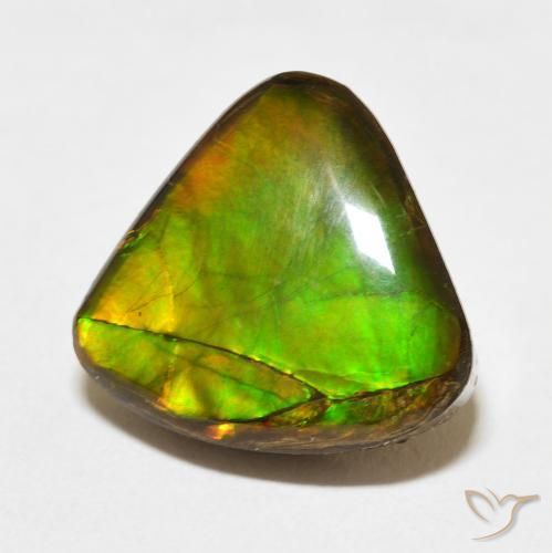 amolita Multicolorido Natural 10.86ct, Trilhão, Opaco