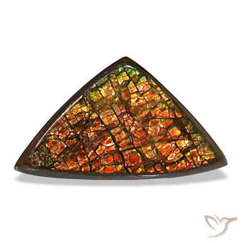 Ammolita multicolorido natural 6,33ct, trillion, opaco